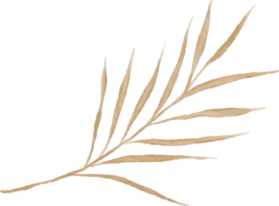 plume